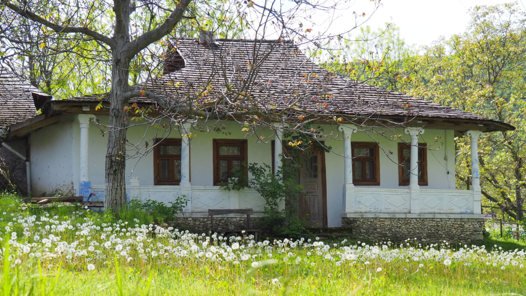 L'architecture vernaculaire maisons traditionnelle avec prispa butuceni 1r